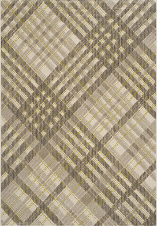 Safavieh Porcello PRL7694A Grey/Dark Grey Area Rug main image