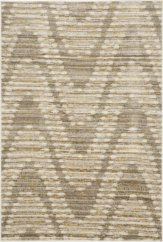 Safavieh Porcello PRL7696A Grey/Dark Grey Area Rug 