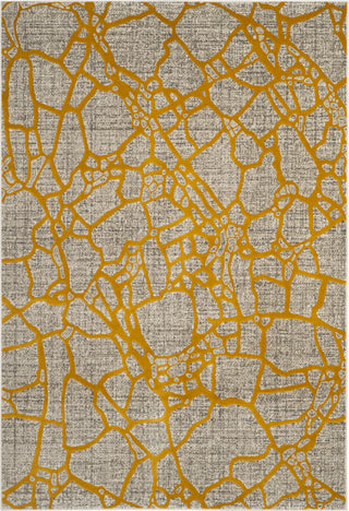 Safavieh Porcello PRL7737C Light Grey/Yellow Area Rug main image