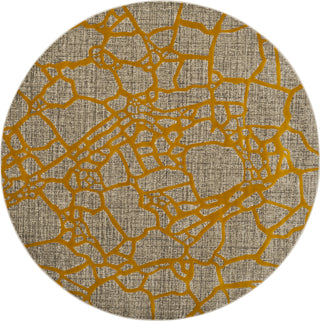 Safavieh Porcello PRL7737C Light Grey/Yellow Area Rug 