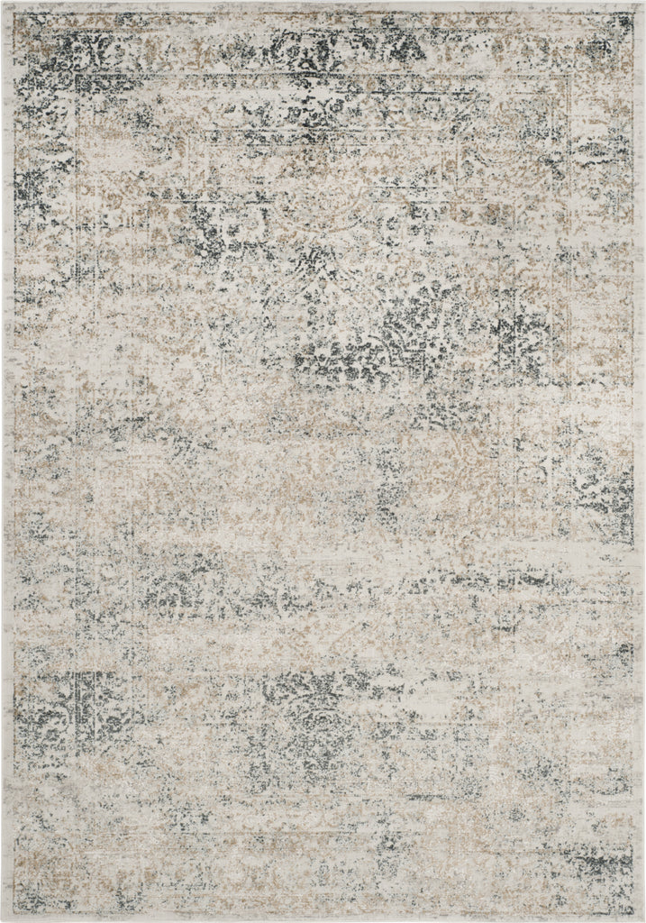 Safavieh Princeton PRN711S Silver/Anthracite Area Rug main image