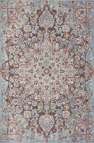 Safavieh Provance PRV182J Aqua/Black Area Rug main image