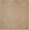 Safavieh Polar Shag PSG800A Light Beige Area Rug 