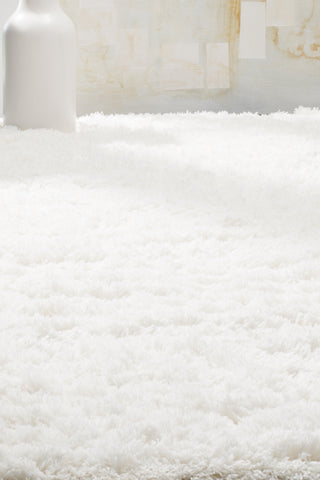 Safavieh Polar Shag PSG800B White Area Rug 