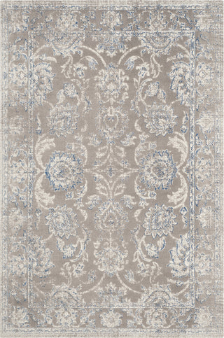 Safavieh Patina PTN316B Taupe/Blue Area Rug main image