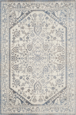 Safavieh Patina PTN318C Light Grey/Blue Area Rug main image