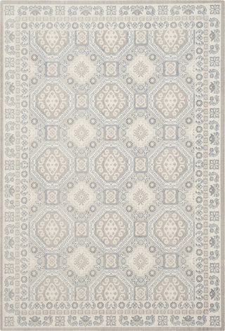 Safavieh Patina PTN320C Light Grey/Ivory Area Rug main image