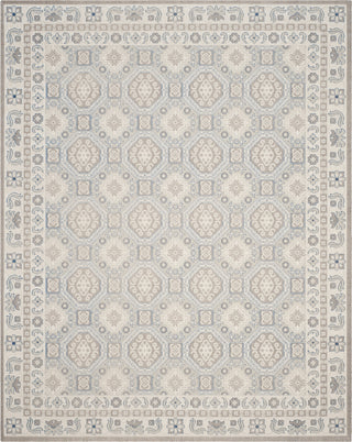 Safavieh Patina PTN320C Light Grey/Ivory Area Rug 