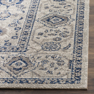 Safavieh Patina PTN322C Light Grey/Ivory Area Rug 