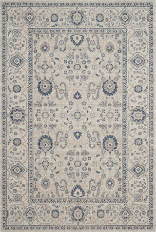 Safavieh Patina PTN322C Light Grey/Ivory Area Rug main image