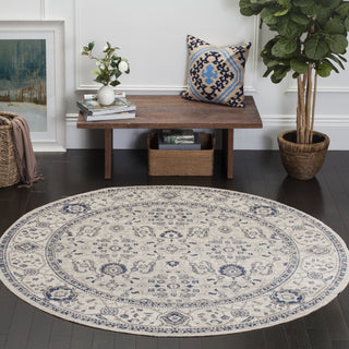 Safavieh Patina PTN322C Light Grey/Ivory Area Rug  Feature