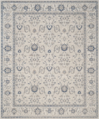 Safavieh Patina PTN322C Light Grey/Ivory Area Rug 