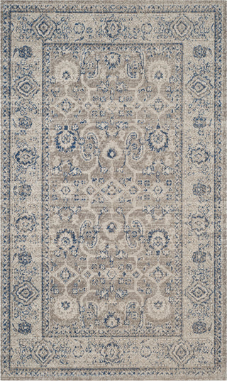 Safavieh Patina PTN322F Taupe/Ivory Area Rug 