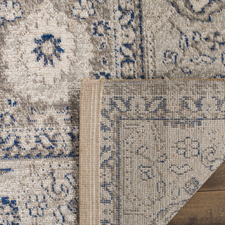 Safavieh Patina PTN322F Taupe/Ivory Area Rug 