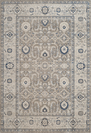 Safavieh Patina PTN322F Taupe/Ivory Area Rug main image