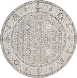 Safavieh Patina PTN322F Taupe/Ivory Area Rug 