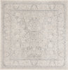 Safavieh Reflection RFT663C Light Grey/Cream Area Rug 