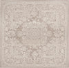 Safavieh Reflection RFT664A Beige/Cream Area Rug 