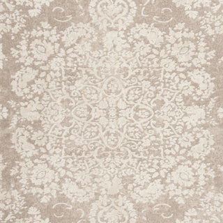 Safavieh Reflection RFT664A Beige/Cream Area Rug 