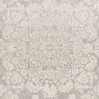 Safavieh Reflection RFT664C Light Grey/Cream Area Rug 