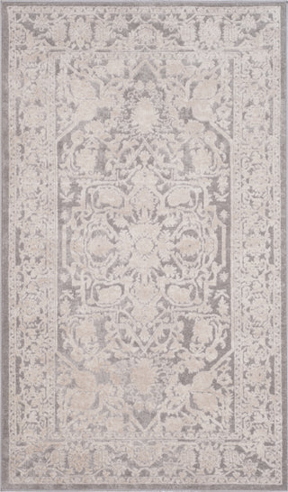 Safavieh Reflection RFT665C Light Grey/Cream Area Rug 