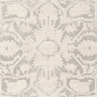 Safavieh Reflection RFT665C Light Grey/Cream Area Rug 