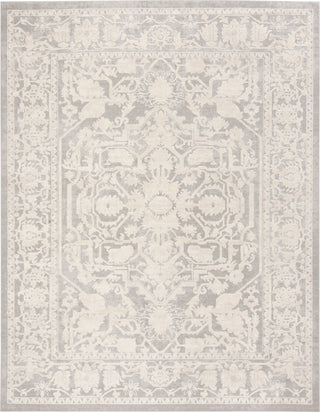 Safavieh Reflection RFT665C Light Grey/Cream Area Rug main image