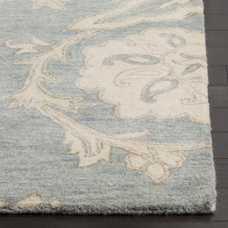 Safavieh Roslyn 901 Light Blue/Ivory Area Rug Detail