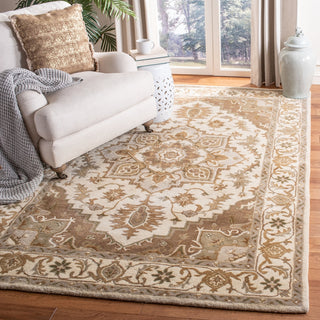 Safavieh Royalty 700 Beige/Sage Area Rug Room Scene Feature