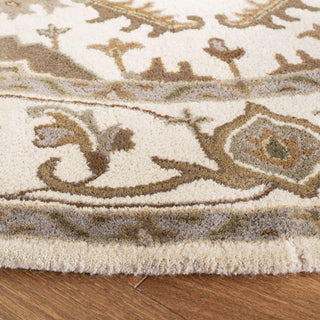 Safavieh Royalty 700 Beige/Sage Area Rug Detail