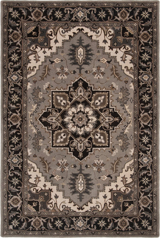 Safavieh Royalty 700 Silver/Charcoal Area Rug Main