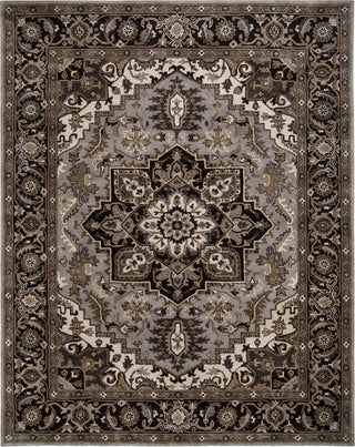 Safavieh Royalty 700 Silver/Charcoal Area Rug Main