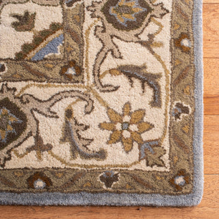 Safavieh Royalty 700 Light Blue/Beige Area Rug Detail