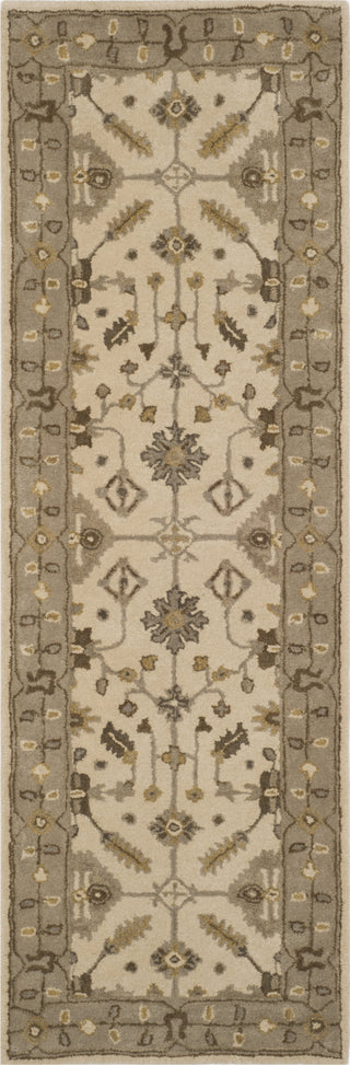 Safavieh Royalty 870 Cream/Light Grey Area Rug 