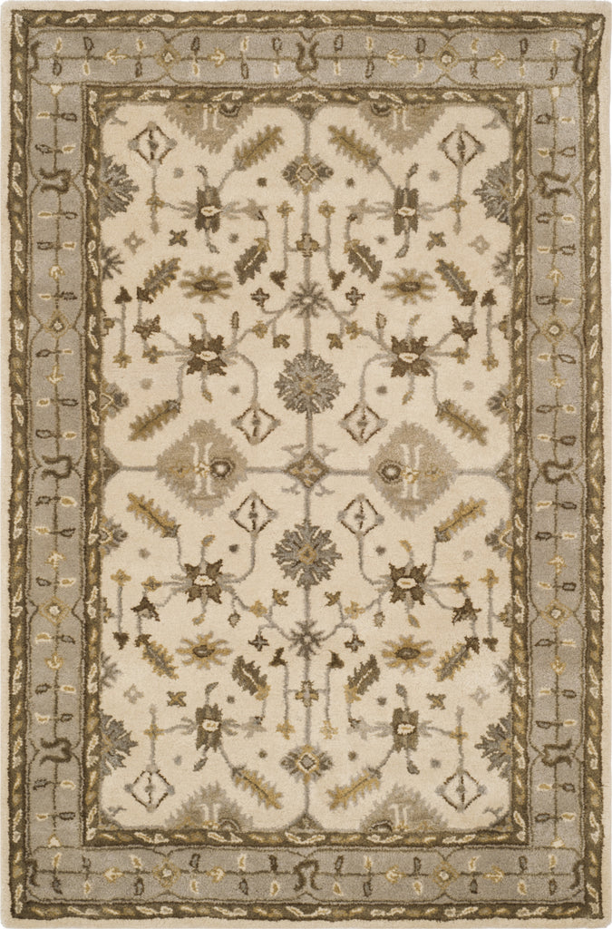 Safavieh Royalty 870 Cream/Light Grey Area Rug main image