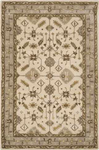 Safavieh Royalty 870 Cream/Light Grey Area Rug main image