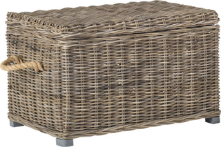 Safavieh Salim Wicker Trunk Natural Furniture 