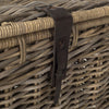 Safavieh Amancio Wicker Trunk Natural Furniture 
