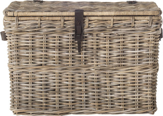 Safavieh Amancio Wicker Trunk Natural Furniture main image