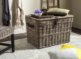 Safavieh Amancio Wicker Trunk Natural Furniture  Feature