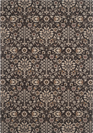 Safavieh Serenity SER209H Brown/Creme Area Rug main image