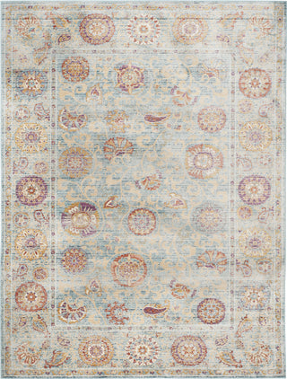 Safavieh Sevilla SEV812C Light Blue/Multi Area Rug 