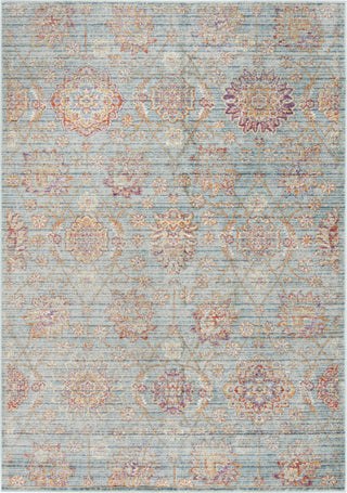 Safavieh Sevilla SEV814H Blue/Multi Area Rug main image