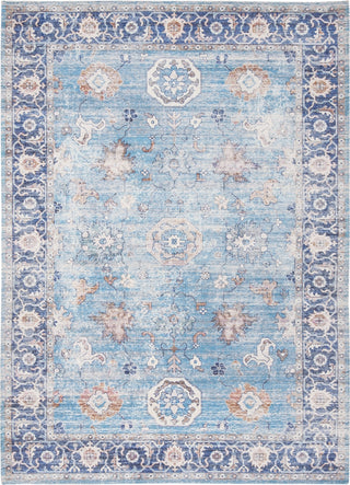 Safavieh Saffron SFN201M Aqua/Navy Area Rug main image