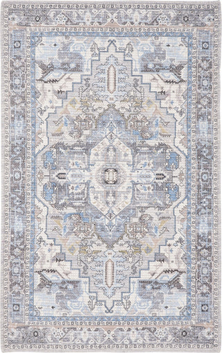 Safavieh Saffron SFN202F Grey/Ivory Area Rug main image