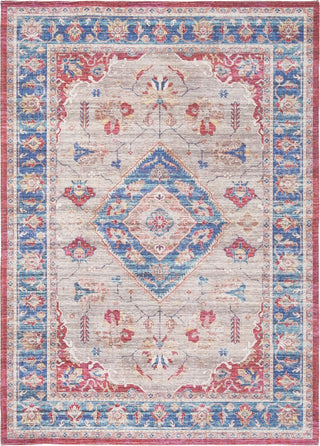 Safavieh Saffron SFN204P Rust/Ivory Area Rug main image