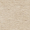 Safavieh Shag Venice Champagne Area Rug 