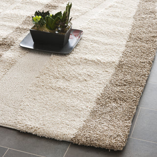 Safavieh Shag SG451 Cream/Dark Brown Area Rug 