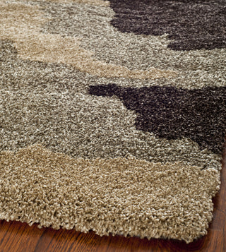 Safavieh Shag SG453 Beige/Multi Area Rug 