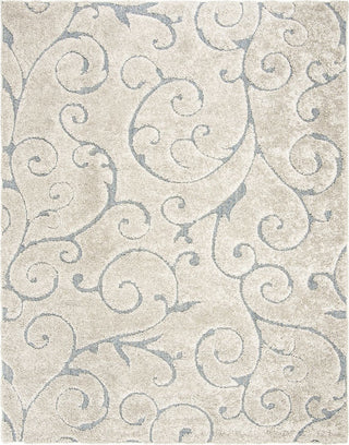 Safavieh Shag SG455 Cream/Light Blue Area Rug main image